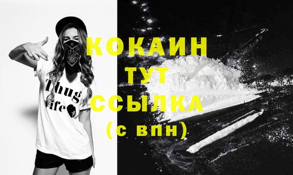 кокс Белокуриха