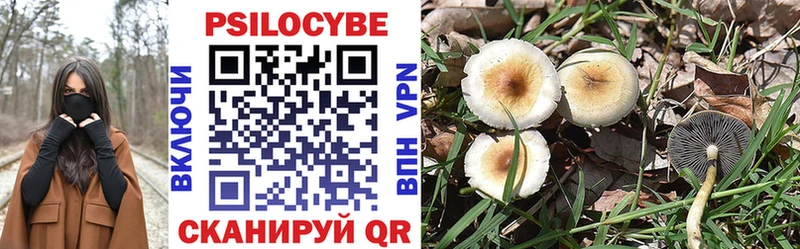 нарко площадка формула  Улан-Удэ  Псилоцибиновые грибы Psilocybine cubensis  ссылка на мегу рабочий сайт 